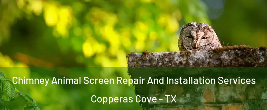  Chimney Animal Screen Repair And Installation Services Copperas Cove - TX