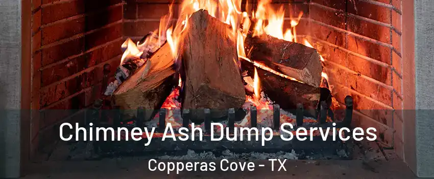  Chimney Ash Dump Services Copperas Cove - TX