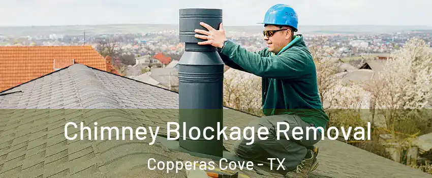  Chimney Blockage Removal Copperas Cove - TX