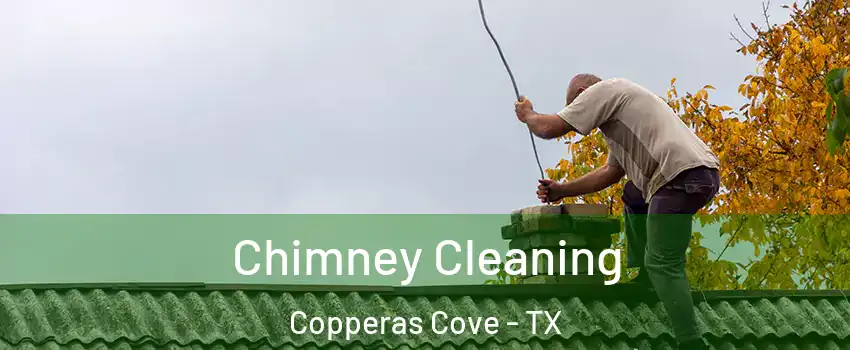  Chimney Cleaning Copperas Cove - TX