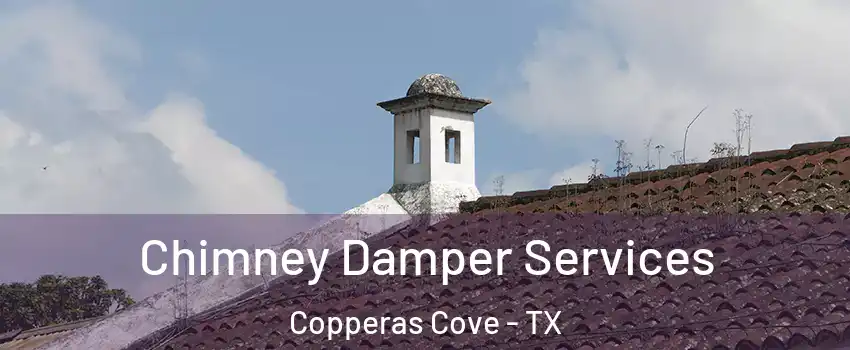  Chimney Damper Services Copperas Cove - TX