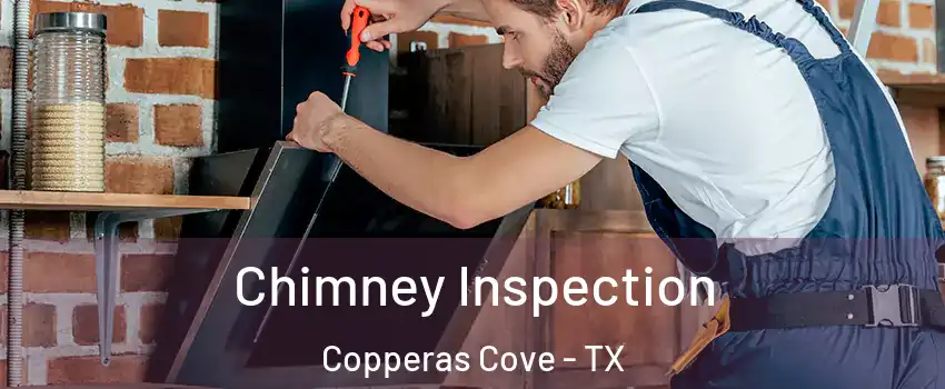  Chimney Inspection Copperas Cove - TX