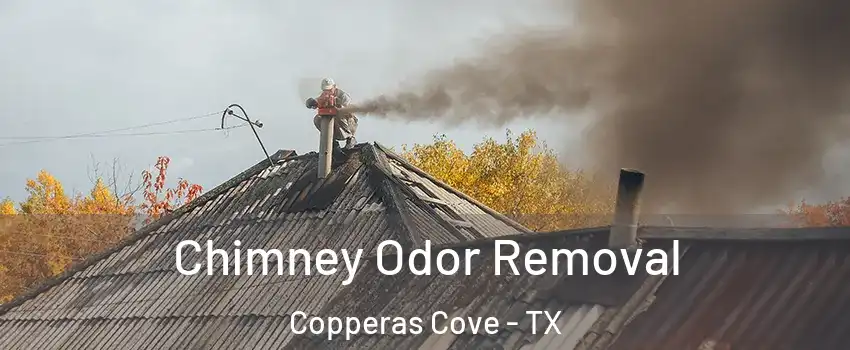  Chimney Odor Removal Copperas Cove - TX