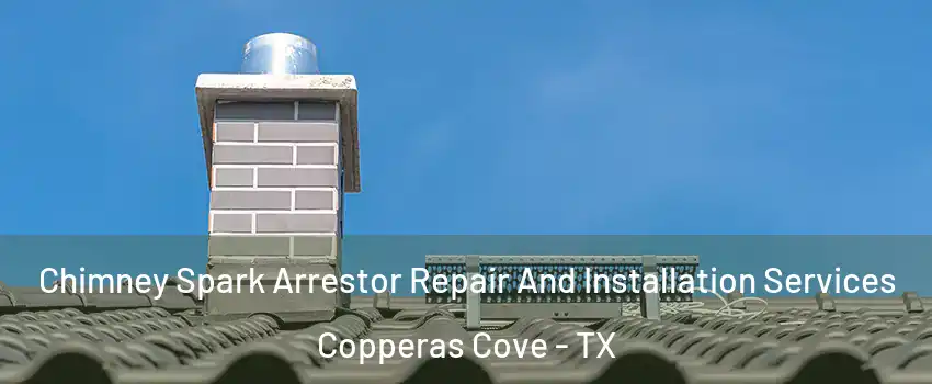  Chimney Spark Arrestor Repair And Installation Services Copperas Cove - TX