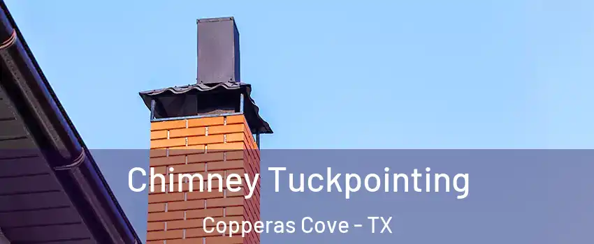  Chimney Tuckpointing Copperas Cove - TX