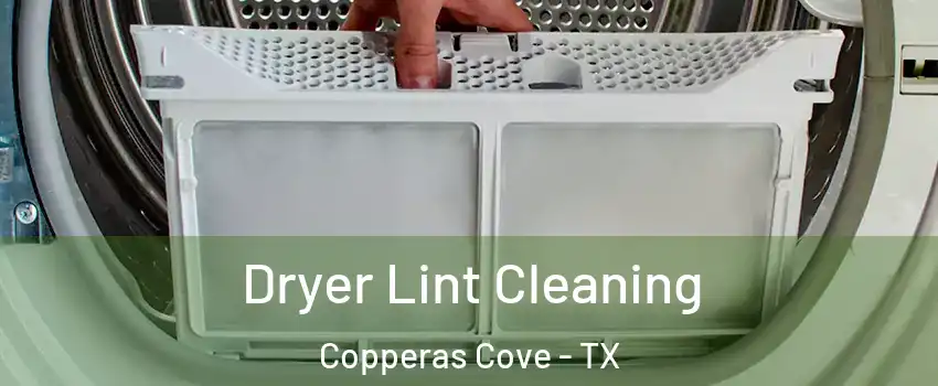  Dryer Lint Cleaning Copperas Cove - TX