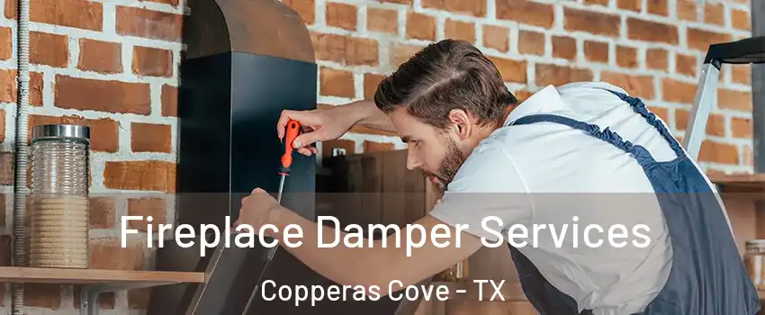  Fireplace Damper Services Copperas Cove - TX