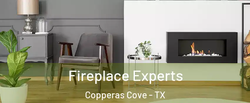  Fireplace Experts Copperas Cove - TX