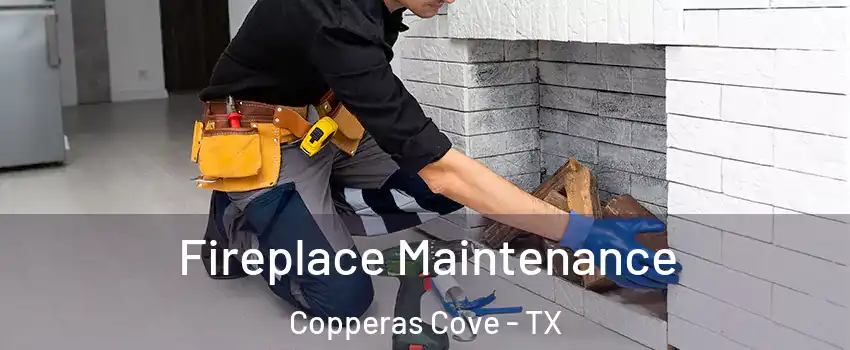  Fireplace Maintenance Copperas Cove - TX