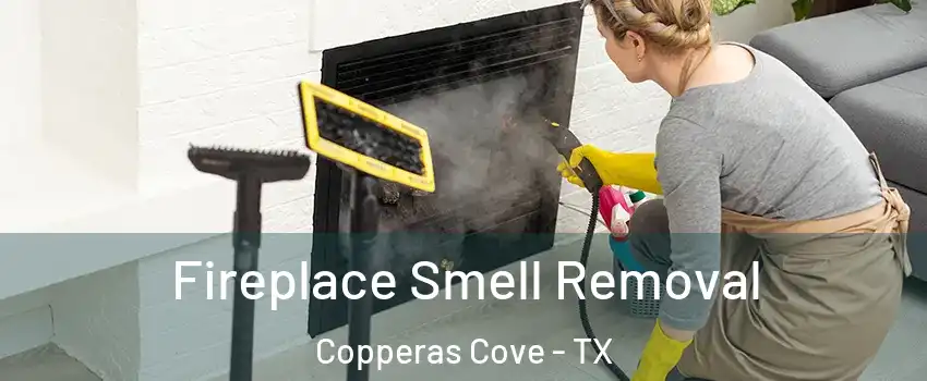  Fireplace Smell Removal Copperas Cove - TX