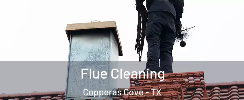  Flue Cleaning Copperas Cove - TX