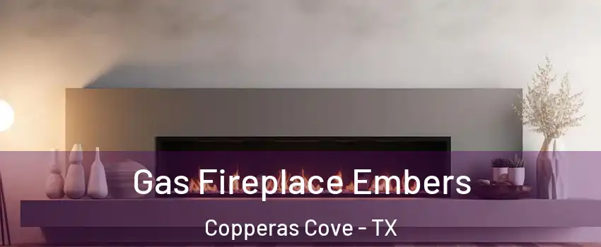  Gas Fireplace Embers Copperas Cove - TX