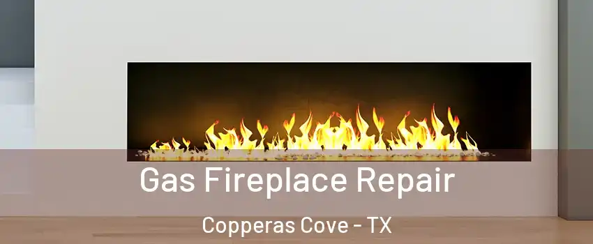  Gas Fireplace Repair Copperas Cove - TX