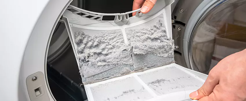 Best Dryer Lint Removal Company in Copperas Cove, Texas