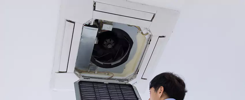 Benefits of Professional Air Duct Cleaning in Copperas Cove, Texas