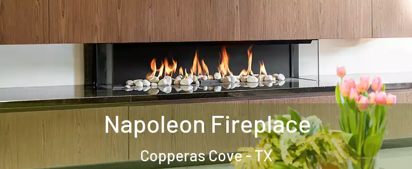  Napoleon Fireplace Copperas Cove - TX