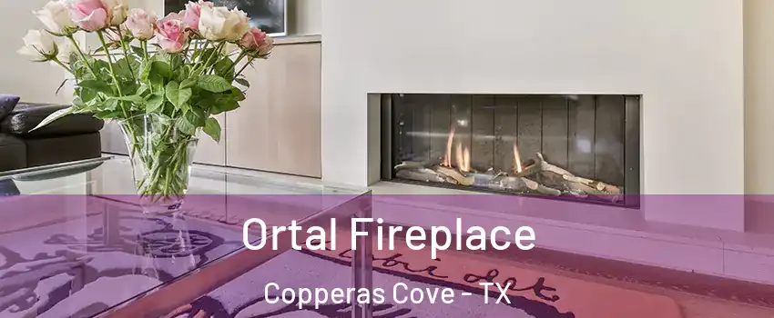  Ortal Fireplace Copperas Cove - TX
