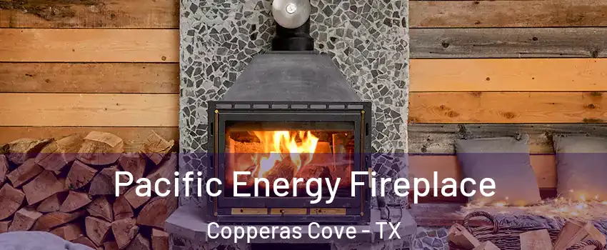  Pacific Energy Fireplace Copperas Cove - TX